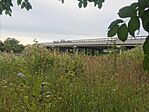 IMG_20240613_180323