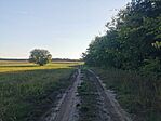 IMG_20241007_170228