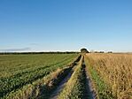 IMG_20241007_171818