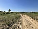 IMG_9500(1)