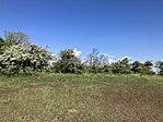 IMG_9502(1)