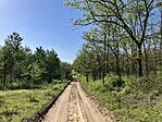 IMG_9505(1)