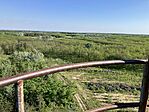 IMG_9507(1)