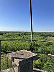 IMG_9509(1)