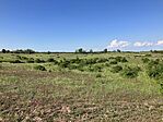 IMG_9501(1)