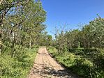IMG_9504(1)