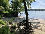 IMG_9517(1)
