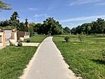 IMG_9526(1)