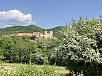 IMG_9533