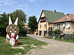 IMG_9536(1)