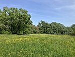 IMG_9545(1)