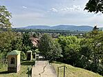 IMG_9549(1)