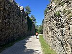 IMG_9783(1)