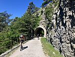 IMG_9785(1)