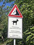 IMG_9791(1)