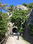 IMG_9794(1)