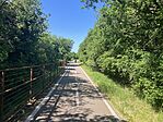 IMG_9805(1)