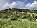 IMG_9844(1)