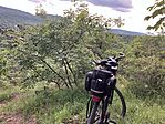 IMG_9845(1)