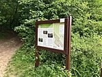 IMG_9849(1)