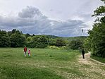 IMG_9848(1)
