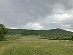IMG_9851(1)