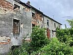 IMG_9858(1)