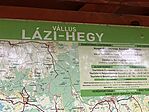 IMG_9868(1)