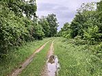 IMG_9876(1)