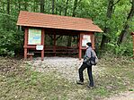 IMG_9867(1)
