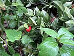 IMG_9869(1)