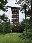 IMG_9871(1)