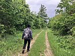IMG_9877(1)