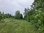 IMG_9878(1)
