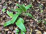 IMG_9881(1)