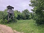 IMG_9879(1)
