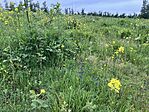 IMG_9883(1)