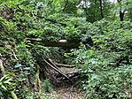 IMG_9888(1)