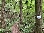 IMG_9894(1)