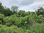 IMG_9895(1)