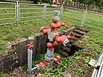 IMG_9902(1)
