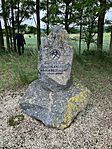 IMG_9904(1)