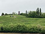 IMG_9960(1)