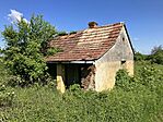 IMG_9972(1)