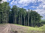 IMG_0001(1)