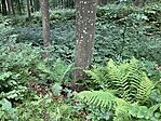 IMG_0034(1)
