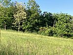 IMG_0044(1)