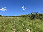 IMG_0108