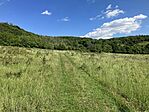 IMG_0111(1)