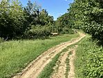 IMG_0112(1)